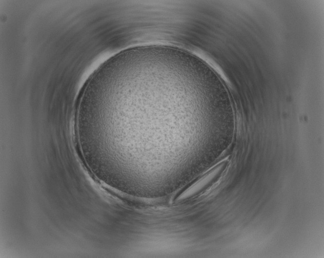 X0000070341101200606231526