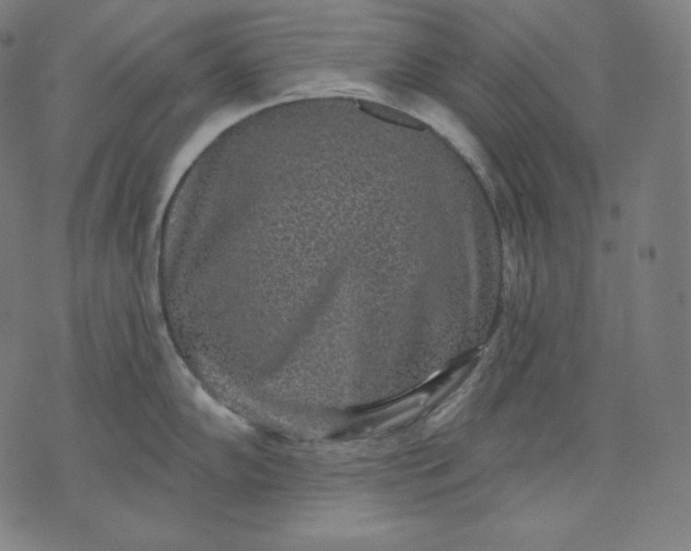 X0000070341102200606231526