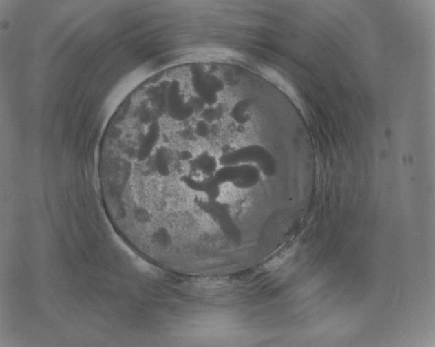 X0000070341103200606231526