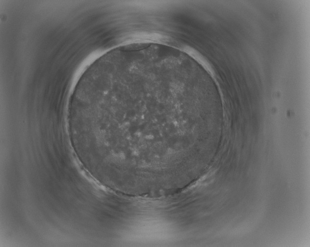 X0000070341104200606231526