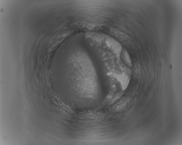 X0000070341105200606231525