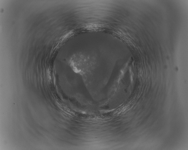 X0000070341106200606231525