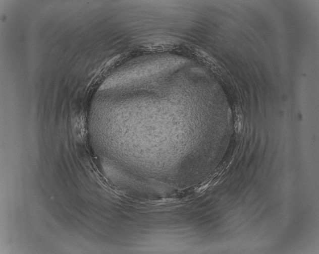 X0000070341108200606231525