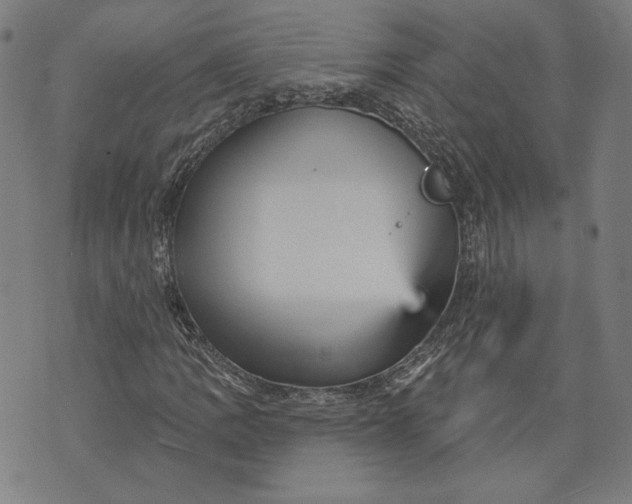 X0000070341109200606231525