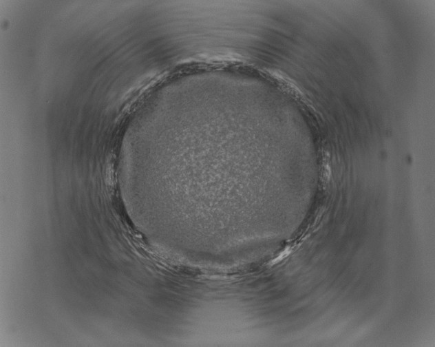 X0000070341110200606231525