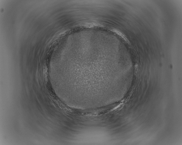 X0000070341111200606231525