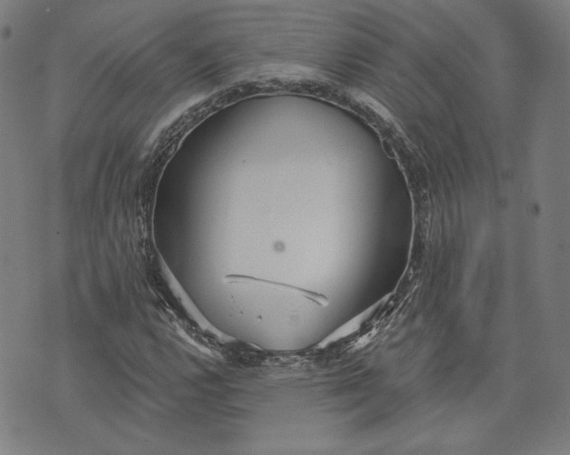 X0000070341112200606231525