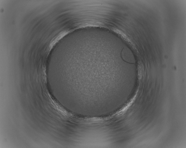 X0000070341113200606231525