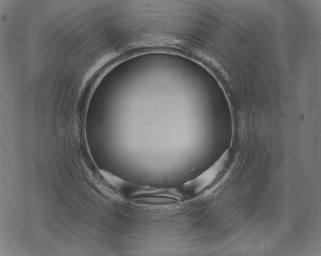 X0000070341114200606231525