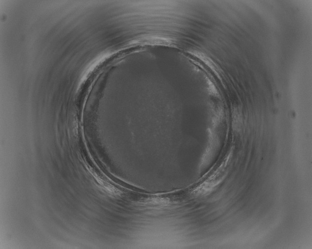 X0000070341115200606231525