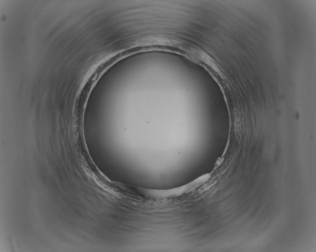 X0000070341116200606231525