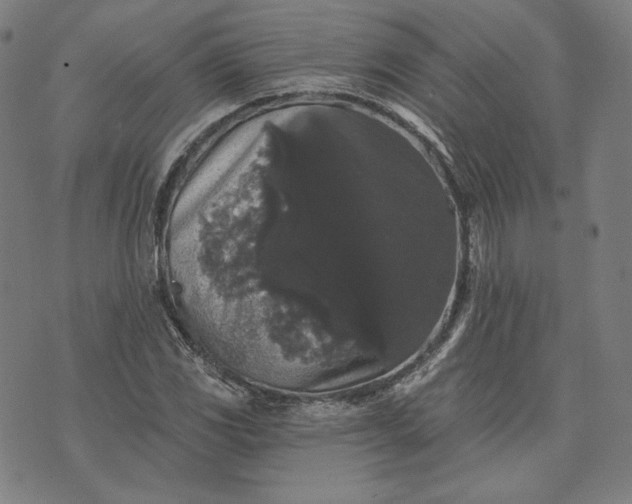 X0000070341117200606231525