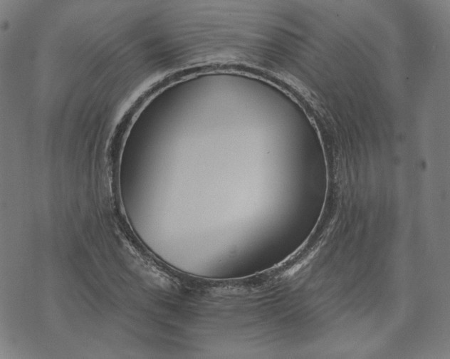 X0000070341118200606231525