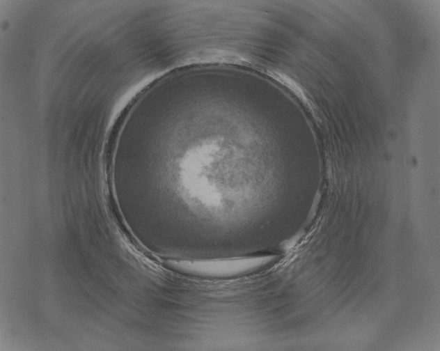 X0000070341120200606231525