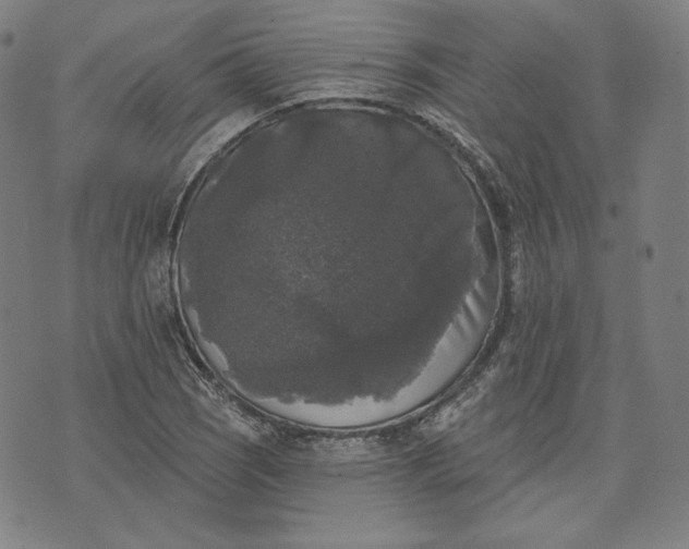 X0000070341121200606231525