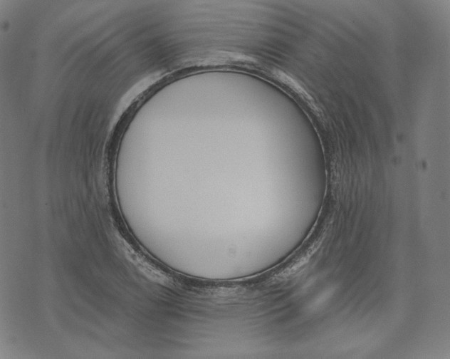 X0000070341122200606231525