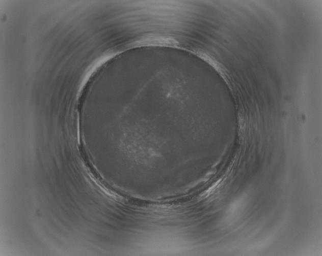 X0000070341123200606231525