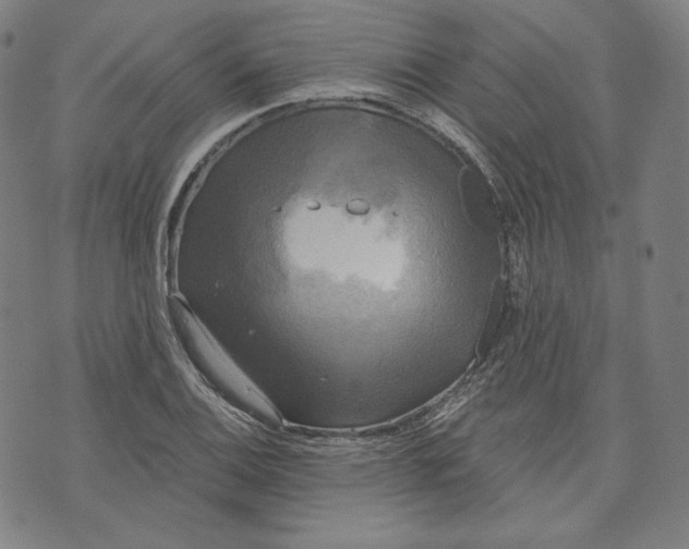 X0000070341124200606231525