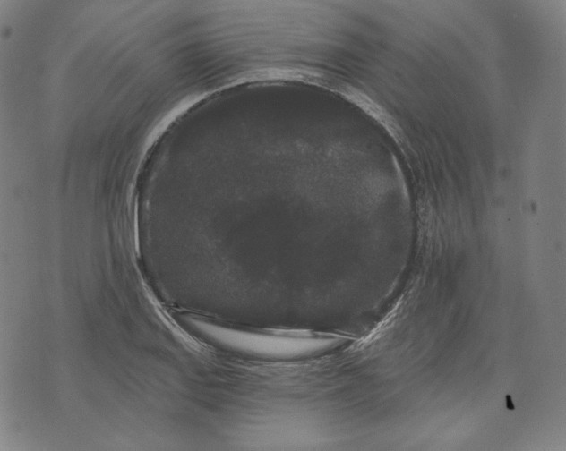 X0000070341127200606231525