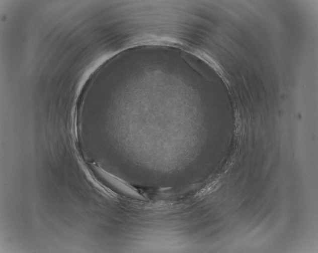 X0000070341128200606231525