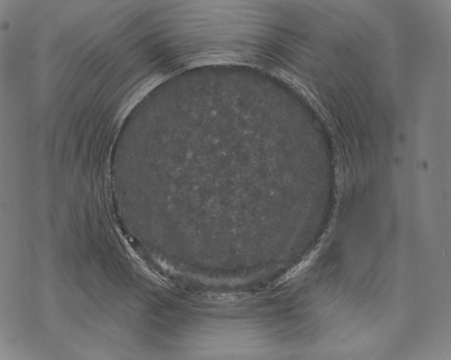 X0000070341129200606231525