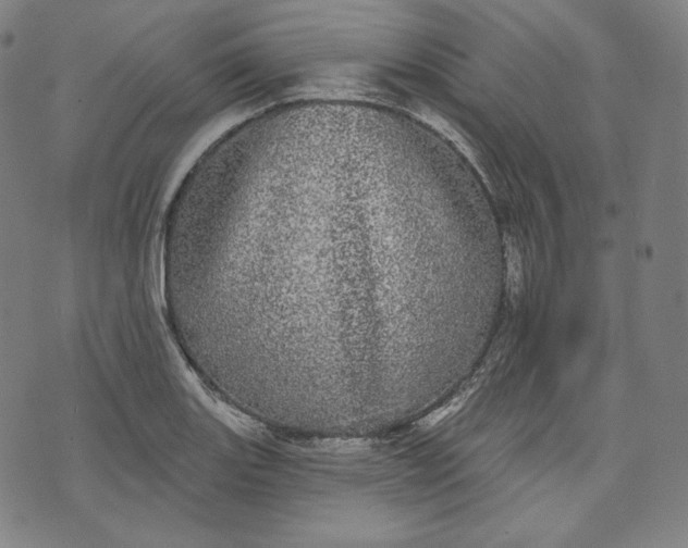 X0000070341131200606231525