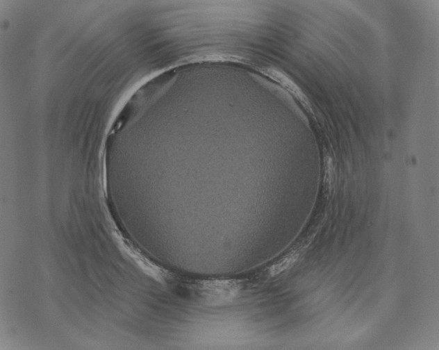 X0000070341132200606231525