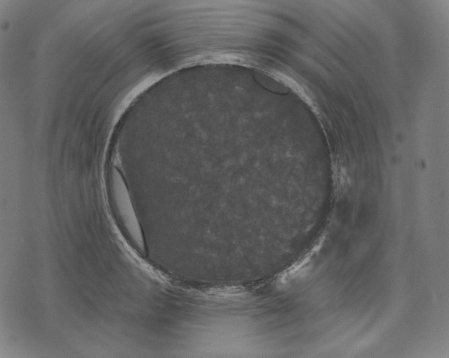 X0000070341133200606231526