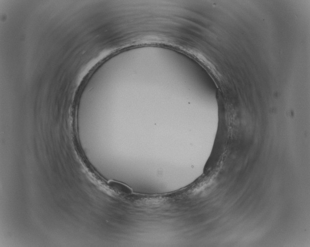 X0000070341134200606231526