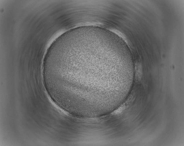 X0000070341135200606231526