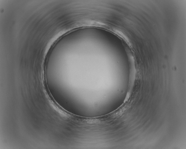 X0000070341136200606231526