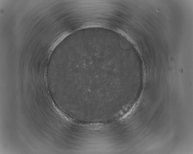 X0000070341137200606231526