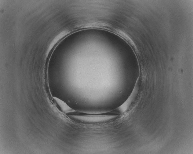 X0000070341138200606231526