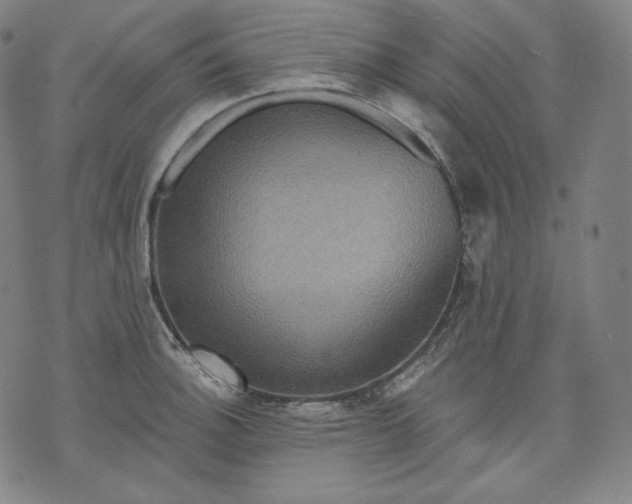 X0000070341140200606231526