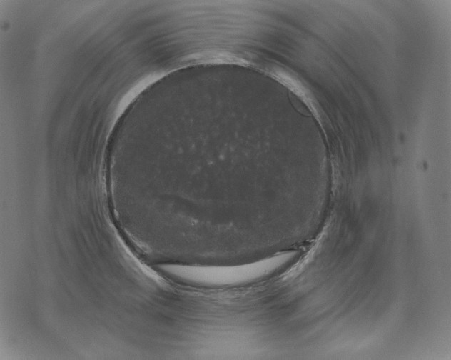 X0000070341141200606231526