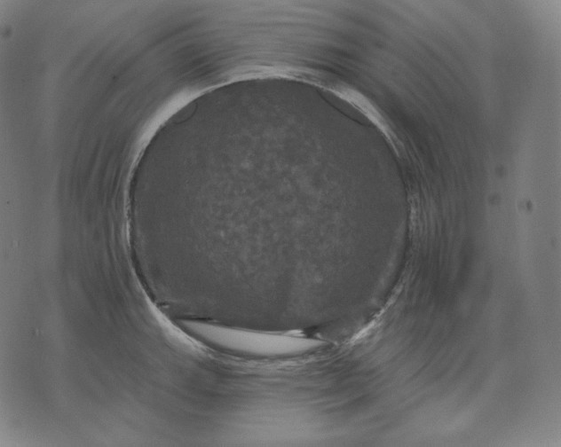 X0000070341143200606231526