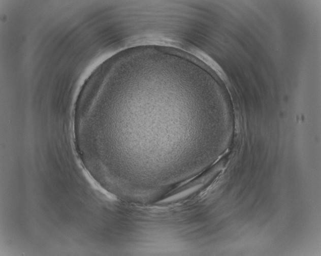 X0000070341144200606231526