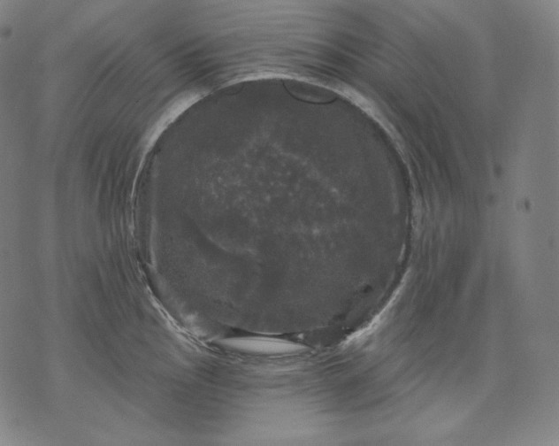 X0000070341145200606231526