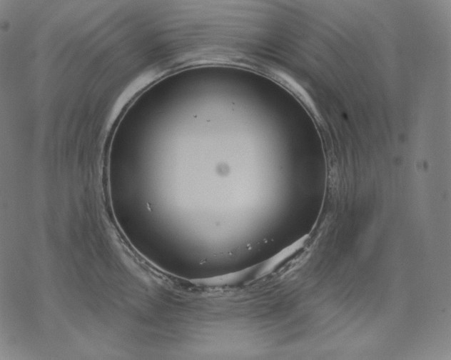 X0000070341146200606231526