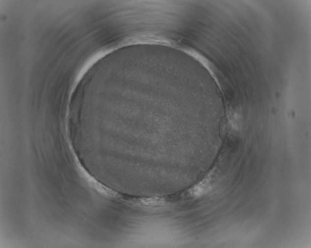 X0000070341147200606231526