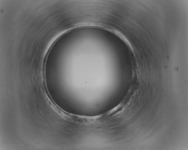 X0000070341148200606231526