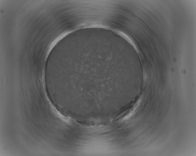 X0000070341149200606231526