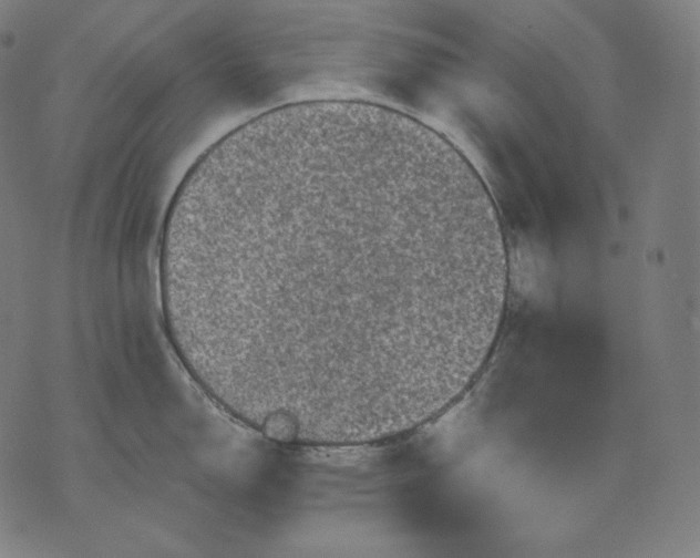 X0000070341150200606231526