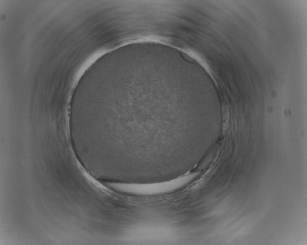 X0000070341151200606231526