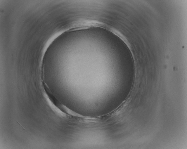 X0000070341152200606231526