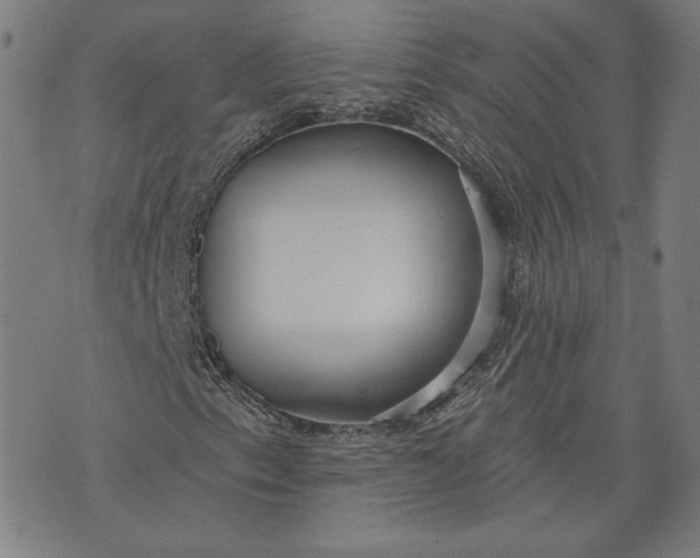 X0000070341153200606231525