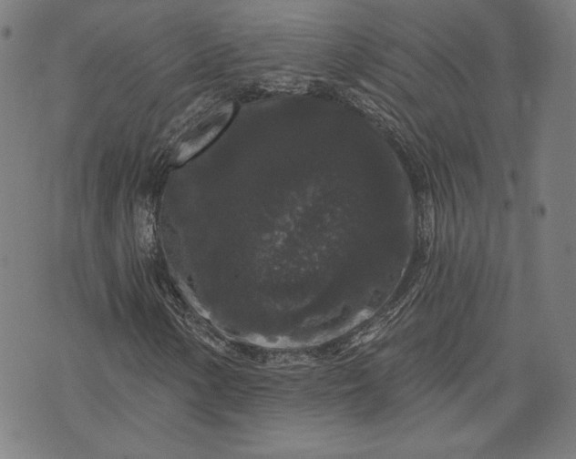 X0000070341154200606231525