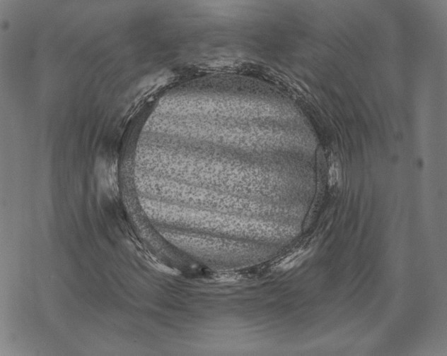 X0000070341156200606231525