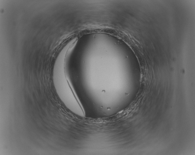 X0000070341157200606231525