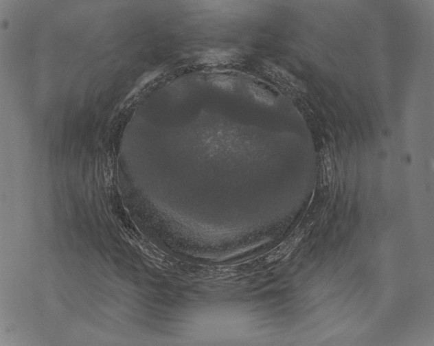 X0000070341158200606231525